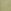 Pistachio Green