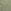 Camo Green