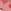 Pink Heart