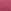 Pink Beet