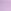 Jasmine Purple