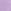 Jasmine Purple