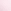 Pink Tulip