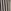 Navy Stripe