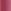 Neutral Rose