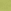 Green Chilli
