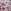 Pink Pearly Queen Floral Bows