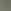 Desert Saltbush