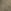 Khaki Green