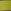 Green Stripe