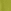 Green Sausage Dog