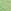 Green Pistachio