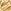 Gold Pisces