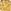 Gold Capricorn
