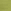 Olive Green Lace Trim