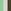 Green/Ecru