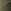 Khaki Green