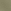 Fall Sage Green