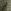 Khaki Green