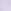 Sweet Lavender Purple