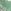 Green Noodle
