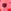 Red/ Pink Flower