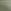 Eucalyptus / Bay Green