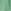Green NEXT