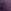 Shadow Purple