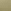 Fall Sage Green