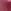 Pink Champagne