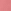 Desert Rose