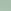 Sage Green Palm