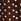 Brown Finery Polka Dot Addison Cotton Midi Dress