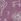 Purple Muddy Puddles Thermal Baselayer Babygrow