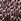 Brown Animal Print Ro&zo Cotton Jersey Cropped T-shirt