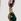 Multi Crystal Gold Tone Ted Baker Julianna: Jewel Chain Drop Earrings