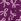 Violet - Yours Curve Chemise de nuit Star Imprimé Soft Touch