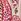 Pink Boden Belted Cotton Midi Dress