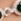 Green Gold Plated Jon Richard Plated And Oval Link Necklace