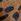 Leopard Cerene Delphine Pointed Toe Ballet Flats