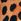 Animal Boden Kylie Flat Buckle Mary Janes Shoes
