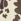 Natural Regular 47 Brand Cow Print New York Yankees Bessie Clean Up Hat