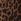 Brown Leopard Gap Mid Rise Straight Taper Jeans