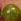 Green Anni Lu Ball Necklace