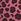 Pink Heather Leopard - Boden All Weather Waterproof Dungarees