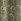Bianca Chenille Leaves Lined Eyelet Curtains