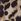 Animal Linzi Twyla Platform Trainers