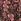 Brown Long Tall Sally Floral Tie Waist Maxi Dress
