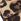 Animal Gabor Shout Leather Wedge Sandals